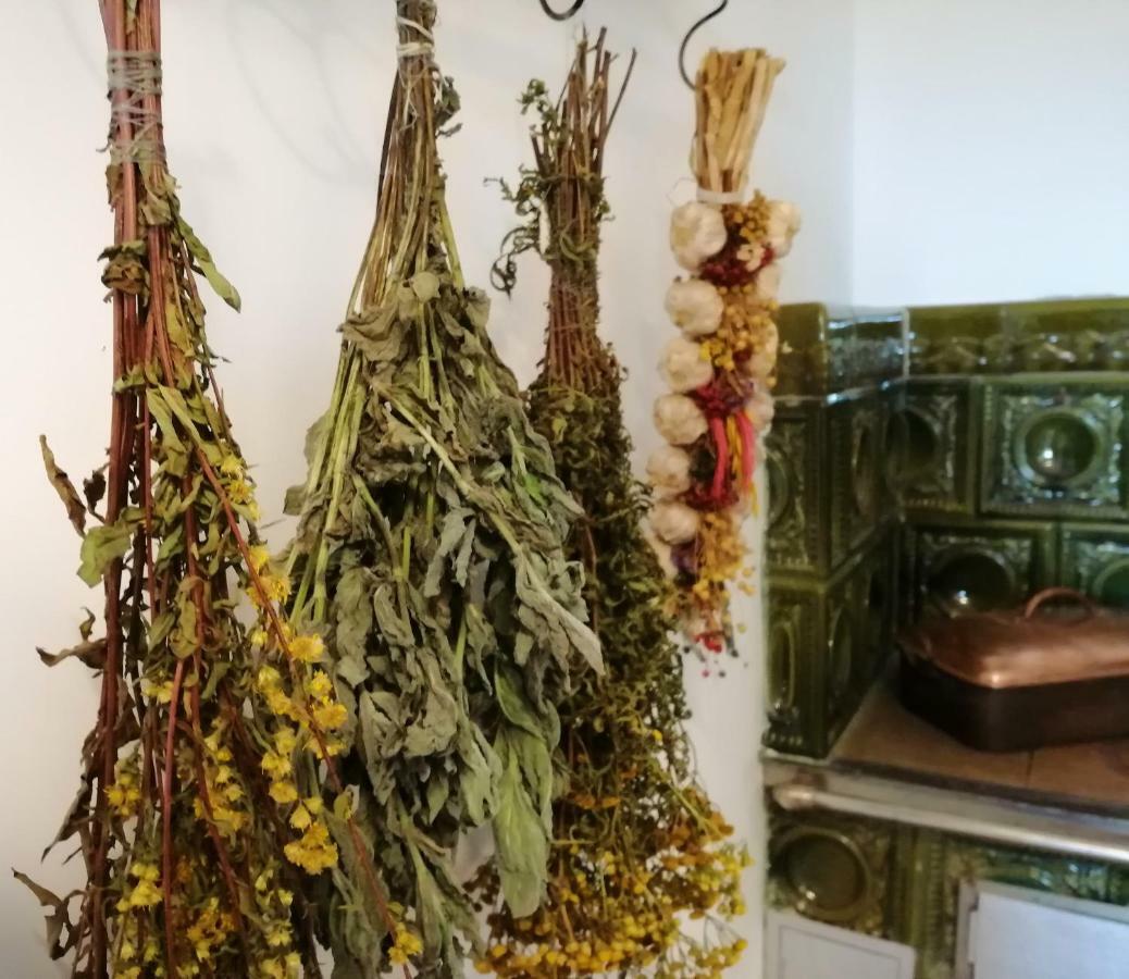 Dom Goscinny Ostoja مينزفوجة المظهر الخارجي الصورة
